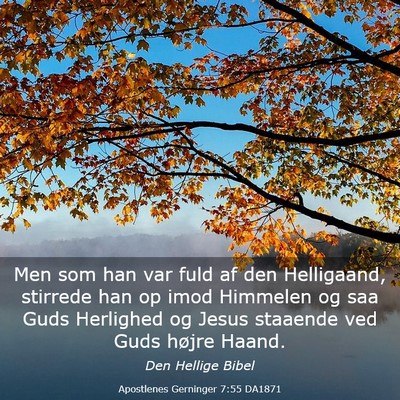 Picture 03 - Apostlenes Gerninger 7:55 DA1871 - Men som han var fuld af den Helligaand, stirrede - Bible Verse Picture