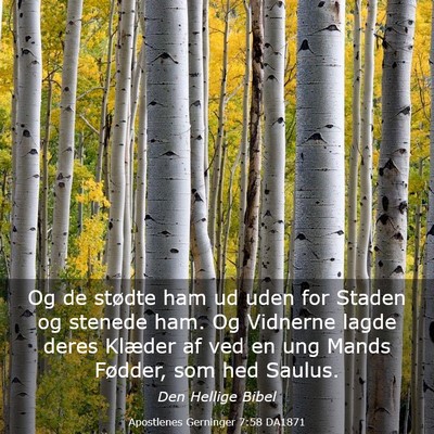 Picture 03 - Apostlenes Gerninger 7:58 DA1871 - Og de stødte ham ud uden for Staden og stenede - Bible Verse Picture