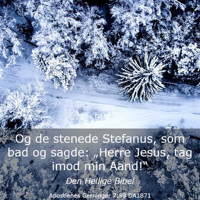 Picture 03 - Apostlenes Gerninger 7:59 DA1871 - Og de stenede Stefanus, som bad og sagde: - Bible Verse Picture