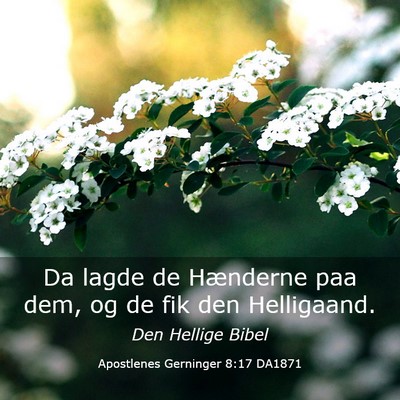 Picture 03 - Apostlenes Gerninger 8:17 DA1871 - Da lagde de Hænderne paa dem, og de fik den - Bible Verse Picture