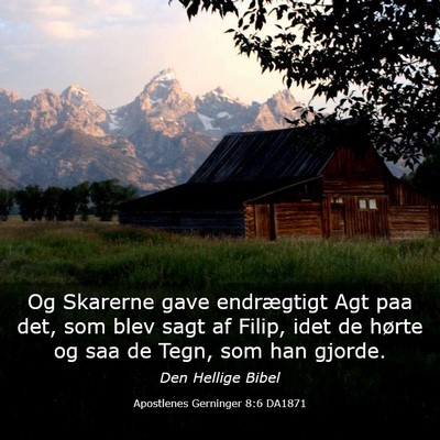 Picture 03 - Apostlenes Gerninger 8:6 DA1871 - Og Skarerne gave endrægtigt Agt paa det, som - Bible Verse Picture