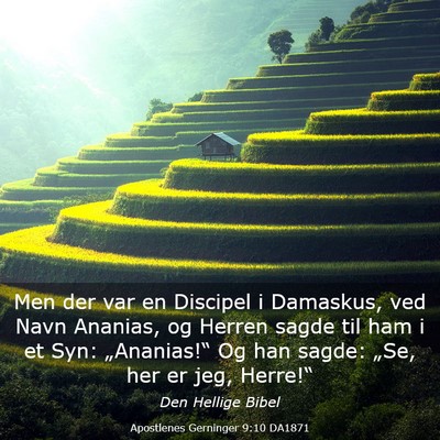 Picture 03 - Apostlenes Gerninger 9:10 DA1871 - Men der var en Discipel i Damaskus, ved Navn - Bible Verse Picture