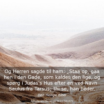 Picture 03 - Apostlenes Gerninger 9:11 DA1871 - Og Herren sagde til ham: „Staa op, gaa hen i - Bible Verse Picture