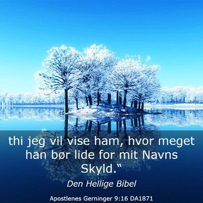 Picture 03 - Apostlenes Gerninger 9:16 DA1871 - thi jeg vil vise ham, hvor meget han bør lide - Bible Verse Picture