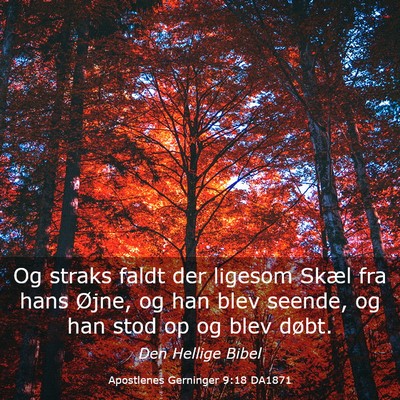 Picture 03 - Apostlenes Gerninger 9:18 DA1871 - Og straks faldt der ligesom Skæl fra hans Øjne, - Bible Verse Picture