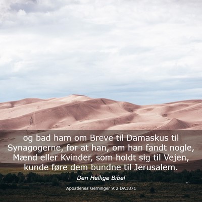 Picture 03 - Apostlenes Gerninger 9:2 DA1871 - og bad ham om Breve til Damaskus til Synagogerne, - Bible Verse Picture