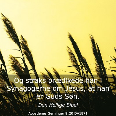 Picture 03 - Apostlenes Gerninger 9:20 DA1871 - Og straks prædikede han i Synagogerne om Jesus, - Bible Verse Picture