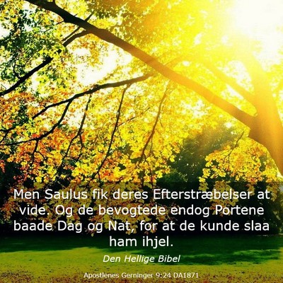 Picture 03 - Apostlenes Gerninger 9:24 DA1871 - Men Saulus fik deres Efterstræbelser at vide. Og - Bible Verse Picture