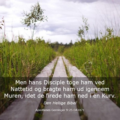 Picture 03 - Apostlenes Gerninger 9:25 DA1871 - Men hans Disciple toge ham ved Nattetid og bragte - Bible Verse Picture