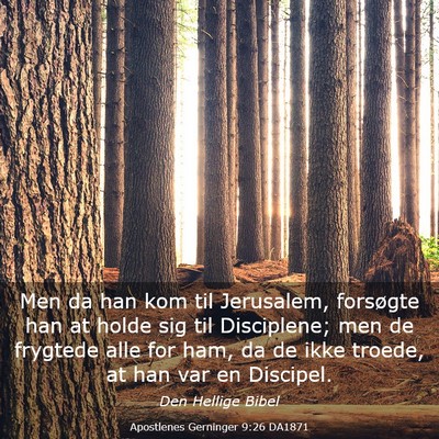 Picture 03 - Apostlenes Gerninger 9:26 DA1871 - Men da han kom til Jerusalem, forsøgte han at - Bible Verse Picture