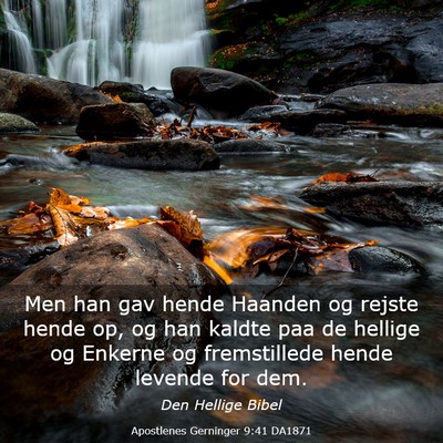 Picture 03 - Apostlenes Gerninger 9:41 DA1871 - Men han gav hende Haanden og rejste hende op, og - Bible Verse Picture