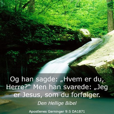 Picture 03 - Apostlenes Gerninger 9:5 DA1871 - Og han sagde: „Hvem er du, Herre?“ Men han - Bible Verse Picture