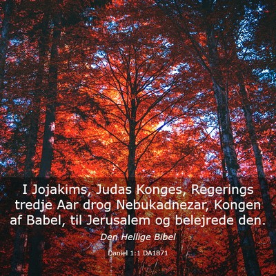 Picture 03 - Daniel 1:1 DA1871 - I Jojakims, Judas Konges, Regerings tredje Aar - Bible Verse Picture