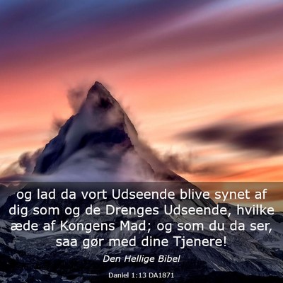 Picture 03 - Daniel 1:13 DA1871 - og lad da vort Udseende blive synet af dig som og - Bible Verse Picture