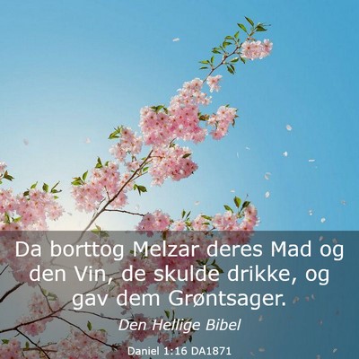 Picture 03 - Daniel 1:16 DA1871 - Da borttog Melzar deres Mad og den Vin, de skulde - Bible Verse Picture