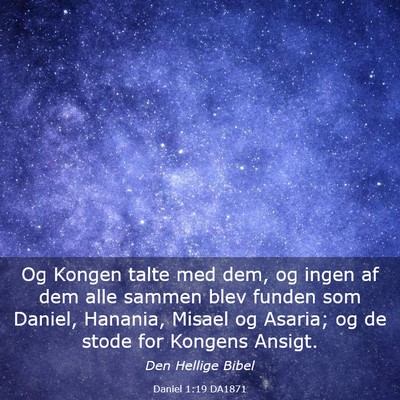 Picture 03 - Daniel 1:19 DA1871 - Og Kongen talte med dem, og ingen af dem alle - Bible Verse Picture