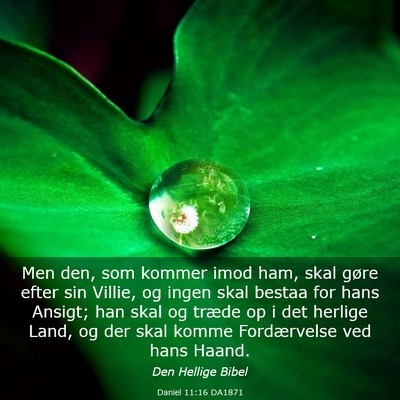 Picture 03 - Daniel 11:16 DA1871 - Men den, som kommer imod ham, skal gøre efter - Bible Verse Picture