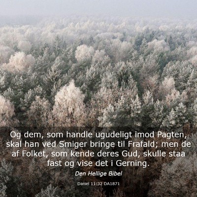 Picture 03 - Daniel 11:32 DA1871 - Og dem, som handle ugudeligt imod Pagten, skal - Bible Verse Picture
