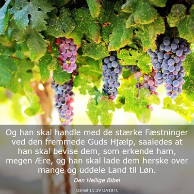 Picture 03 - Daniel 11:39 DA1871 - Og han skal handle med de stærke Fæstninger ved - Bible Verse Picture