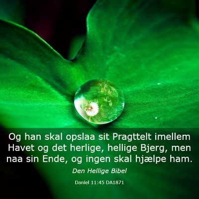 Picture 03 - Daniel 11:45 DA1871 - Og han skal opslaa sit Pragttelt imellem Havet og - Bible Verse Picture