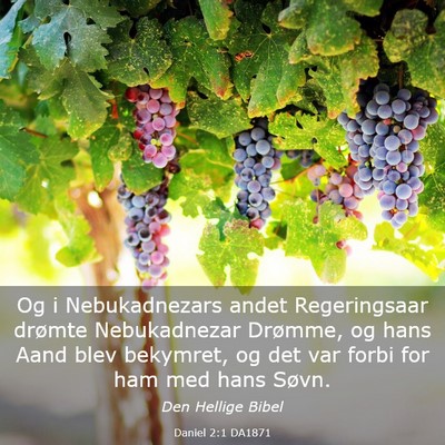 Picture 03 - Daniel 2:1 DA1871 - Og i Nebukadnezars andet Regeringsaar drømte - Bible Verse Picture