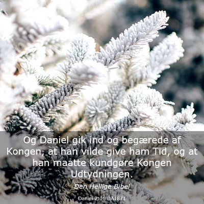 Picture 03 - Daniel 2:16 DA1871 - Og Daniel gik ind og begærede af Kongen, at han - Bible Verse Picture