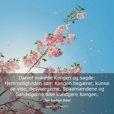 Picture 03 - Daniel 2:27 DA1871 - Daniel svarede Kongen og sagde: Hemmeligheden som - Bible Verse Picture