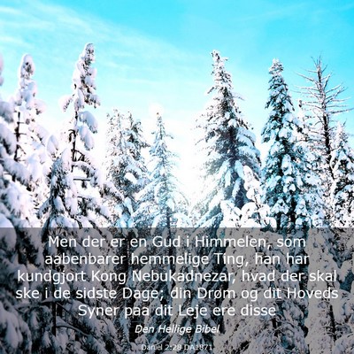 Picture 03 - Daniel 2:28 DA1871 - Men der er en Gud i Himmelen, som aabenbarer - Bible Verse Picture