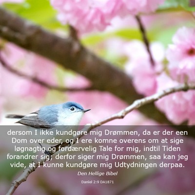 Picture 03 - Daniel 2:9 DA1871 - dersom I ikke kundgøre mig Drømmen, da er der - Bible Verse Picture