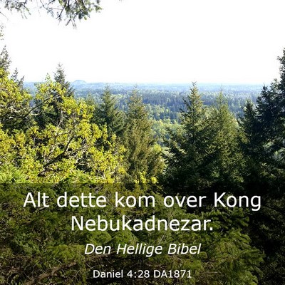 Picture 03 - Daniel 4:28 DA1871 - Alt dette kom over Kong - Bible Verse Picture