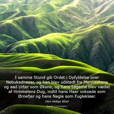 Picture 03 - Daniel 4:33 DA1871 - I samme Stund gik Ordet i Opfyldelse over - Bible Verse Picture