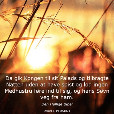 Picture 03 - Daniel 6:19 DA1871 - Da gik Kongen til sit Palads og tilbragte Natten - Bible Verse Picture