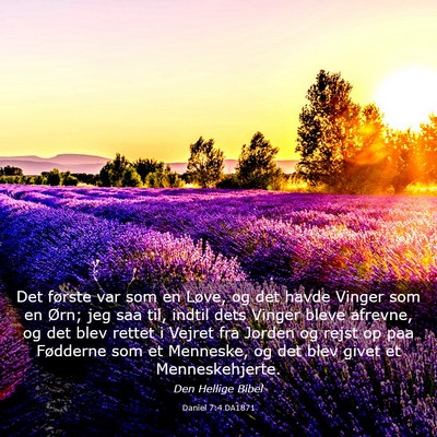 Picture 03 - Daniel 7:4 DA1871 - Det første var som en Løve, og det havde Vinger - Bible Verse Picture