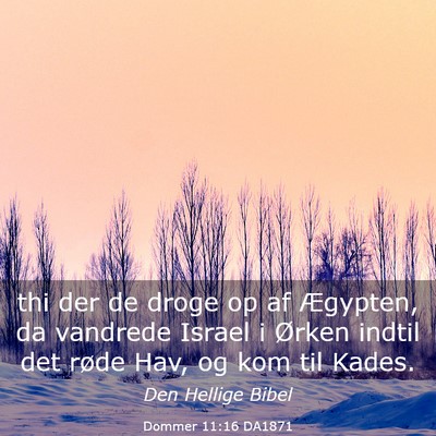 Picture 03 - Dommer 11:16 DA1871 - thi der de droge op af Ægypten, da vandrede - Bible Verse Picture