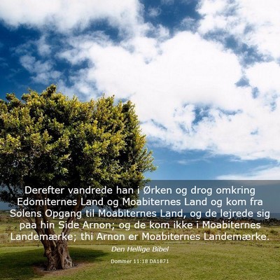 Picture 03 - Dommer 11:18 DA1871 - Derefter vandrede han i Ørken og drog omkring - Bible Verse Picture