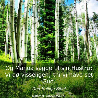 Picture 03 - Dommer 13:22 DA1871 - Og Manoa sagde til sin Hustru: Vi dø visseligen; - Bible Verse Picture