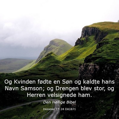 Picture 03 - Dommer 13:24 DA1871 - Og Kvinden fødte en Søn og kaldte hans Navn - Bible Verse Picture