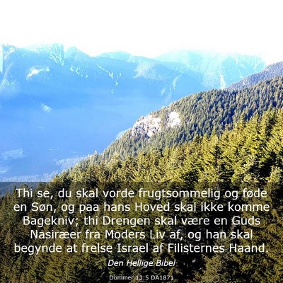Picture 03 - Dommer 13:5 DA1871 - Thi se, du skal vorde frugtsommelig og føde en - Bible Verse Picture