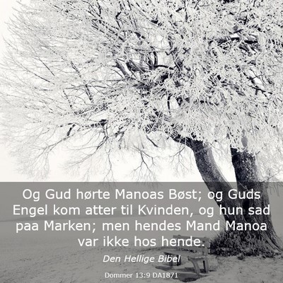 Picture 03 - Dommer 13:9 DA1871 - Og Gud hørte Manoas Bøst; og Guds Engel kom - Bible Verse Picture