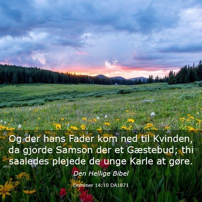 Picture 03 - Dommer 14:10 DA1871 - Og der hans Fader kom ned til Kvinden, da gjorde - Bible Verse Picture