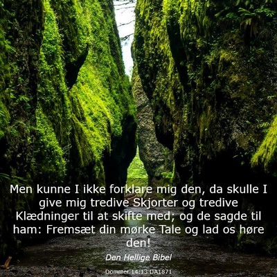 Picture 03 - Dommer 14:13 DA1871 - Men kunne I ikke forklare mig den, da skulle I - Bible Verse Picture