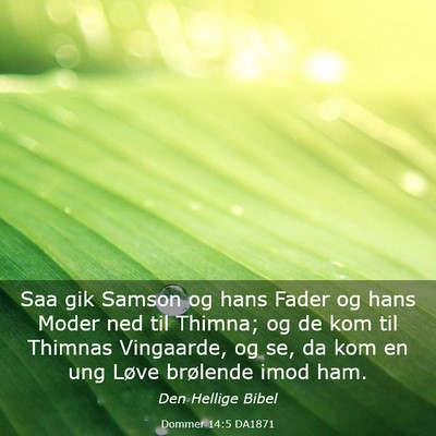 Picture 03 - Dommer 14:5 DA1871 - Saa gik Samson og hans Fader og hans Moder ned - Bible Verse Picture