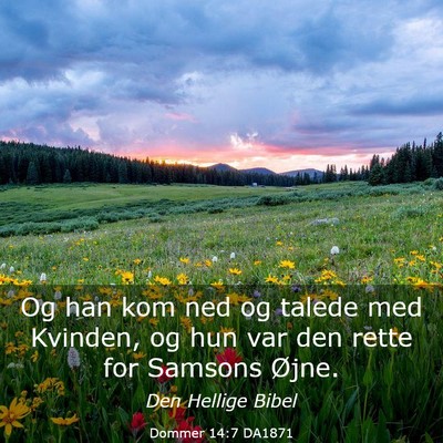 Picture 03 - Dommer 14:7 DA1871 - Og han kom ned og talede med Kvinden, og hun var - Bible Verse Picture
