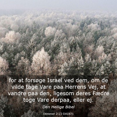 Picture 03 - Dommer 2:22 DA1871 - for at forsøge Israel ved dem, om de vilde tage - Bible Verse Picture