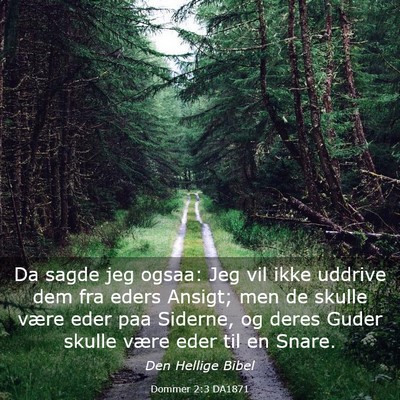 Picture 03 - Dommer 2:3 DA1871 - Da sagde jeg ogsaa: Jeg vil ikke uddrive dem fra - Bible Verse Picture