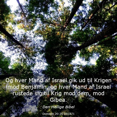 Picture 03 - Dommer 20:20 DA1871 - Og hver Mand af Israel gik ud til Krigen imod - Bible Verse Picture