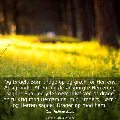 Picture 03 - Dommer 20:23 DA1871 - Og Israels Børn droge op og græd for Herrens - Bible Verse Picture