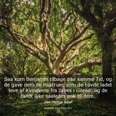 Picture 03 - Dommer 21:14 DA1871 - Saa kom Benjamin tilbage paa samme Tid, og de - Bible Verse Picture