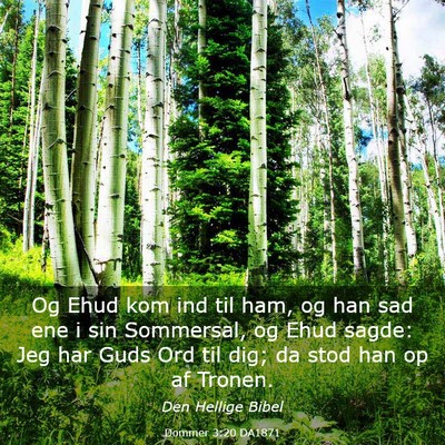 Picture 03 - Dommer 3:20 DA1871 - Og Ehud kom ind til ham, og han sad ene i sin - Bible Verse Picture
