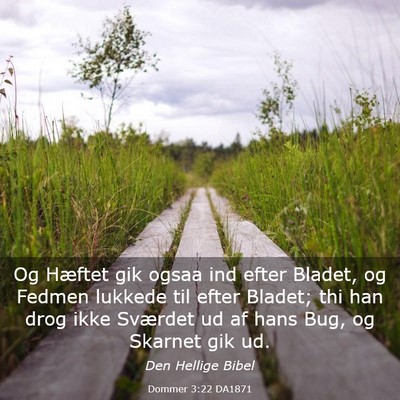 Picture 03 - Dommer 3:22 DA1871 - Og Hæftet gik ogsaa ind efter Bladet, og Fedmen - Bible Verse Picture